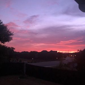 Meet your Posher, Belinda